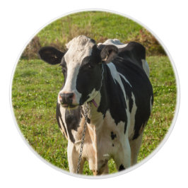 Türgriff, Kuhphoto Keramikknauf