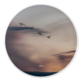 Türgriff Photovögel abstrakt Keramikknauf