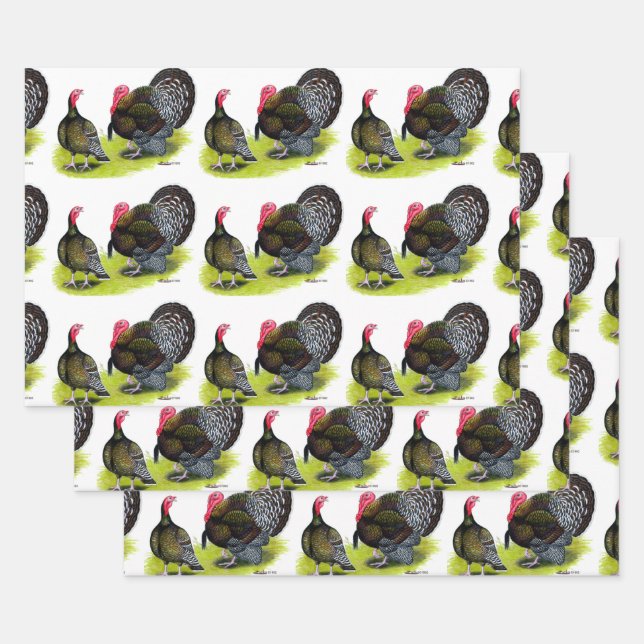 Türkei Broad Breastes Bronze Geschenkpapier Set (Set)