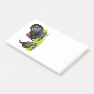 Türkei Broad Breastes Bronze Post-it Klebezettel