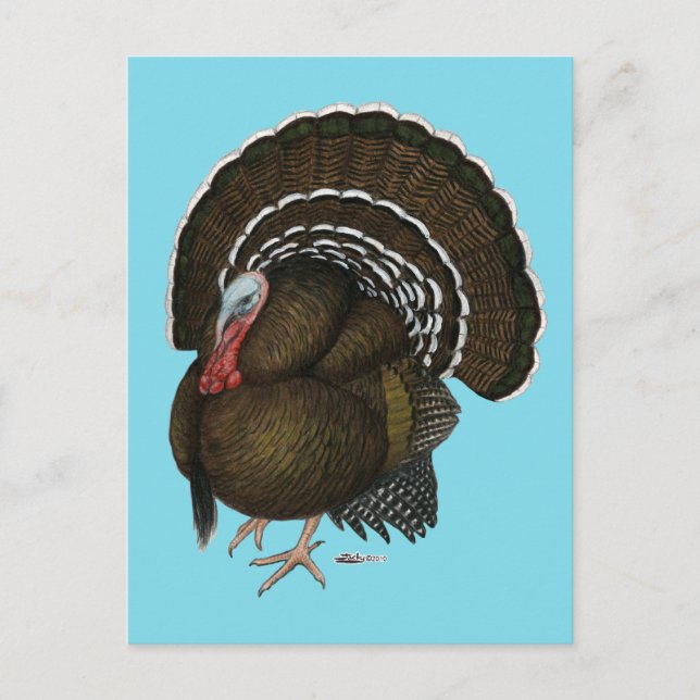 Türkei Bronze Tom Postkarte (Vorderseite)