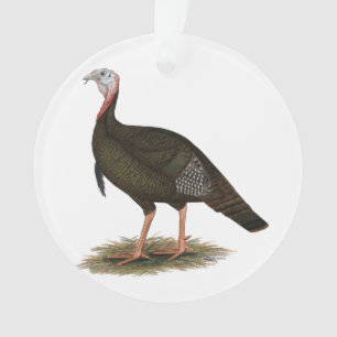 Türkei:  Eastern Wild Tom Ornament
