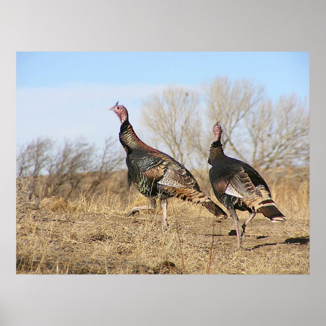 Türkei Horizon Poster (Vorne)