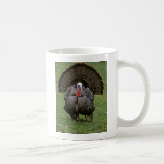 Türkei Kaffeetasse (Rechts)