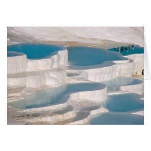Türkei, Pamukkale Baumwollburg).