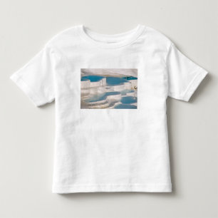 Türkei, Pamukkale Baumwollburg). Kleinkind T-shirt