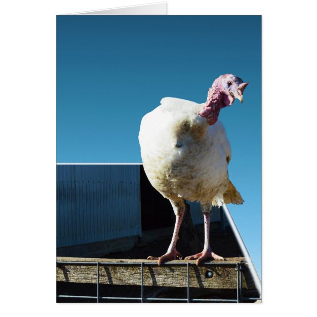 Türkei Popout Art (Vorne)