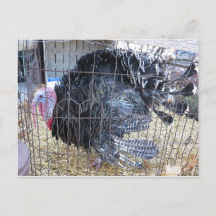Türkei Postkarte