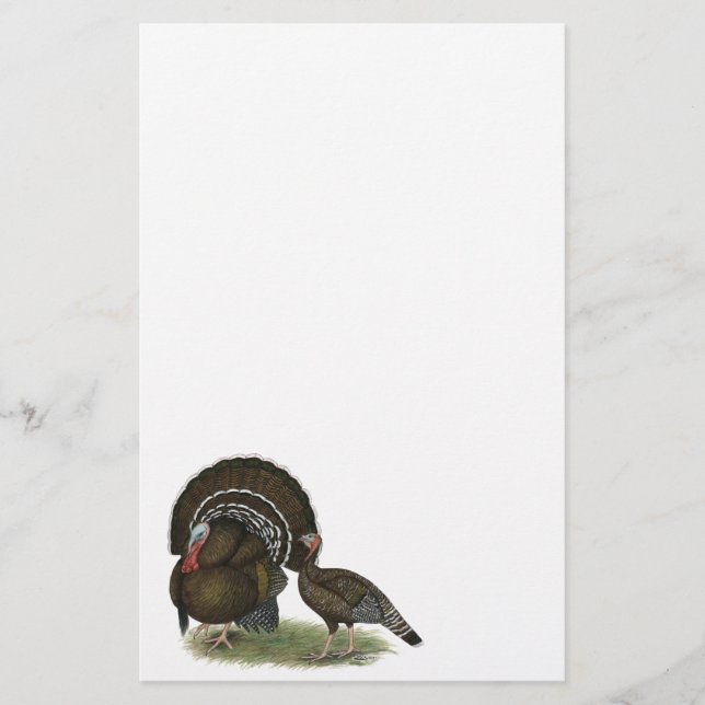 Türkei Standard Bronze Briefpapier (Vorderseite)