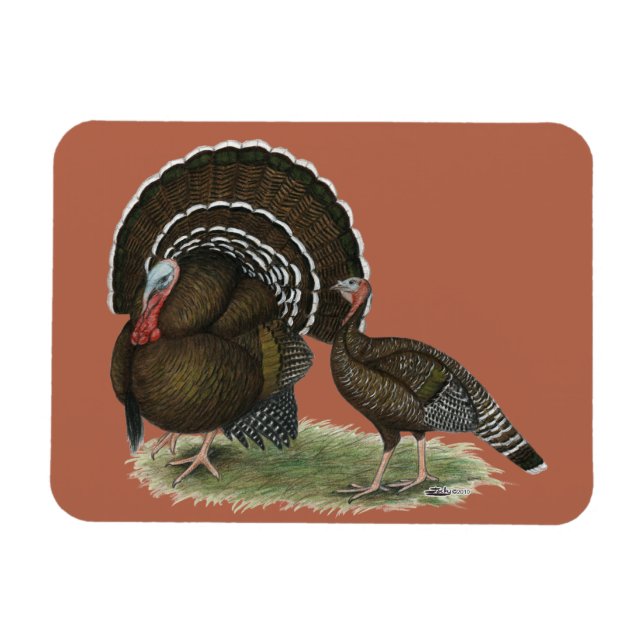 Türkei Standard Bronze Magnet (Horizontal)