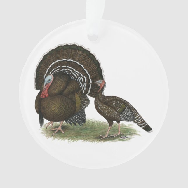 Türkei Standard Bronze Ornament (Vorderseite)