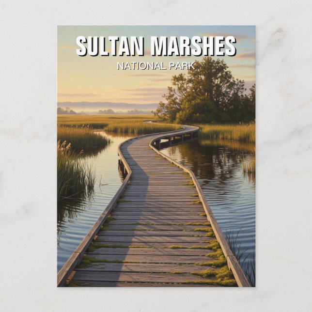 Türkei Sultan Marshes National Park Travel Postkarte (Vorderseite)