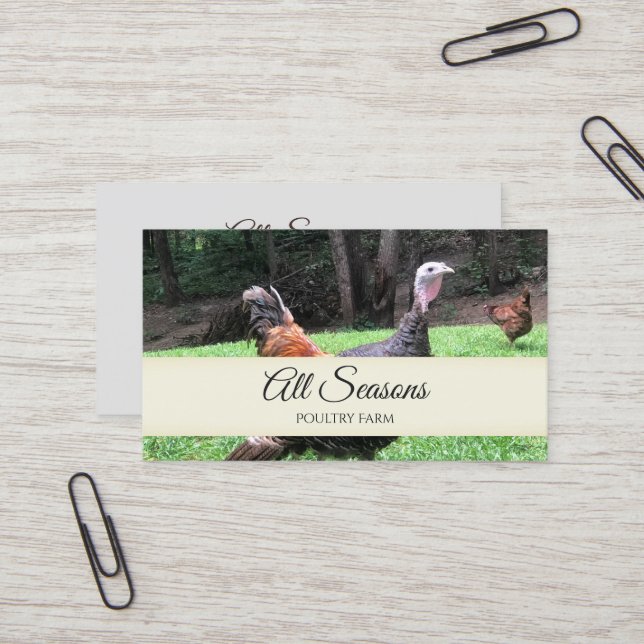 Türkei-Visitenkarte Visitenkarte (Vorderseite/Rückseite Beispiel)