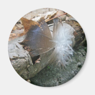 Türkei Vulture Feather Coordinated Items Magnet