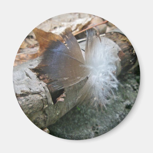 Türkei Vulture Feather Coordinated Items Magnet (Vorne)