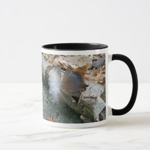 Türkei Vulture Feather Coordinated Items Tasse