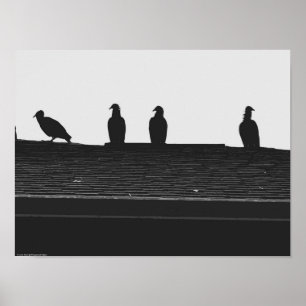 Türkei-Vulture, Poster