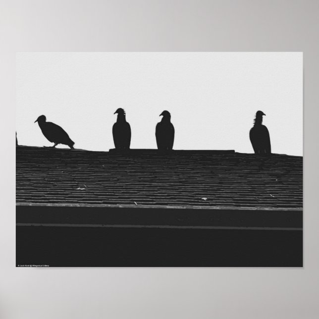 Türkei-Vulture, Poster (Vorne)