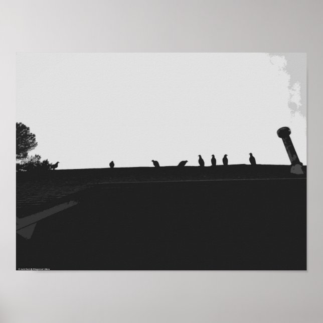 Türkei-Vulture, Poster (Vorne)