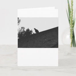 Türkei Vulture Silhouette, Karte