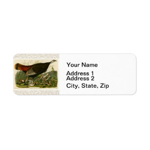 Türkei Wild Audubon Bird Painting