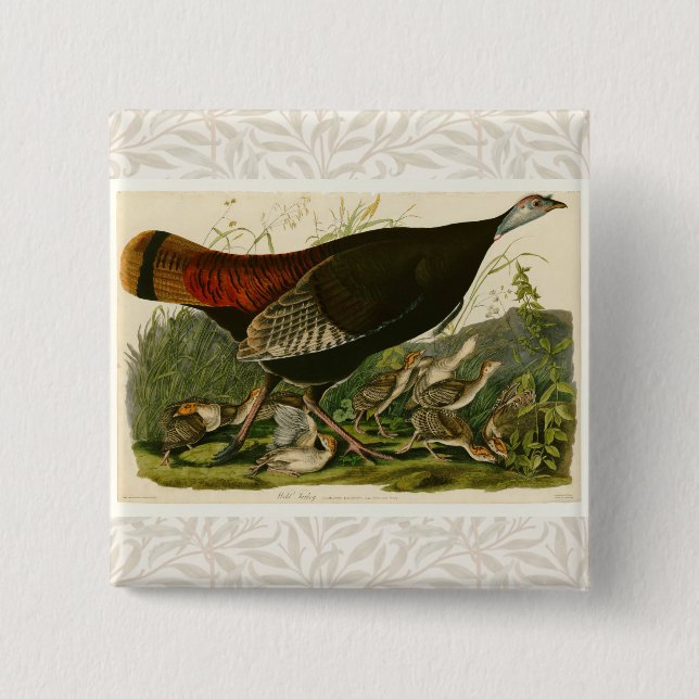 Türkei Wild Audubon Bird Painting Button (Vorderseite)