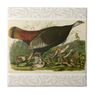 Türkei Wild Audubon Bird Painting Fliese