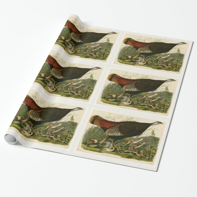 Türkei Wild Audubon Bird Painting Geschenkpapier (Ungerollt)