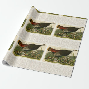 Türkei Wild Audubon Bird Painting Geschenkpapier
