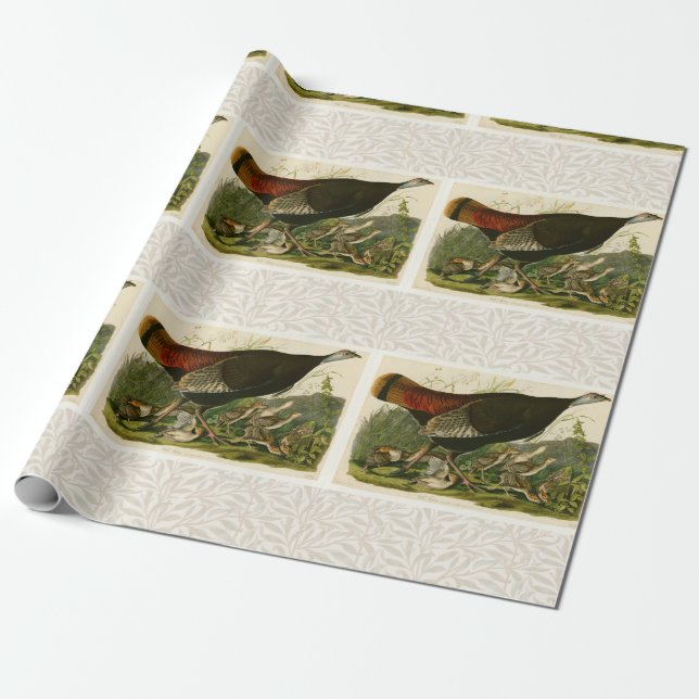 Türkei Wild Audubon Bird Painting Geschenkpapier (Ungerollt)