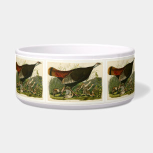 Türkei Wild Audubon Bird Painting Napf