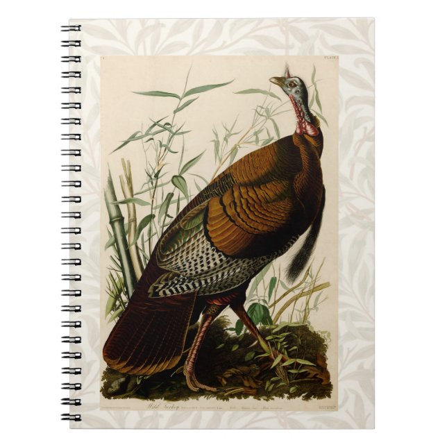 Türkei Wild Audubon Bird Painting Notizblock (Vorderseite)