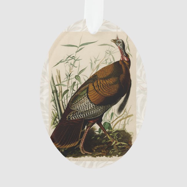 Türkei Wild Audubon Bird Painting Ornament (Rückseite)