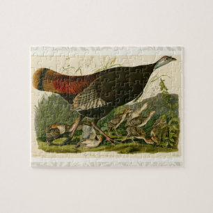 Türkei Wild Audubon Bird Painting Puzzle