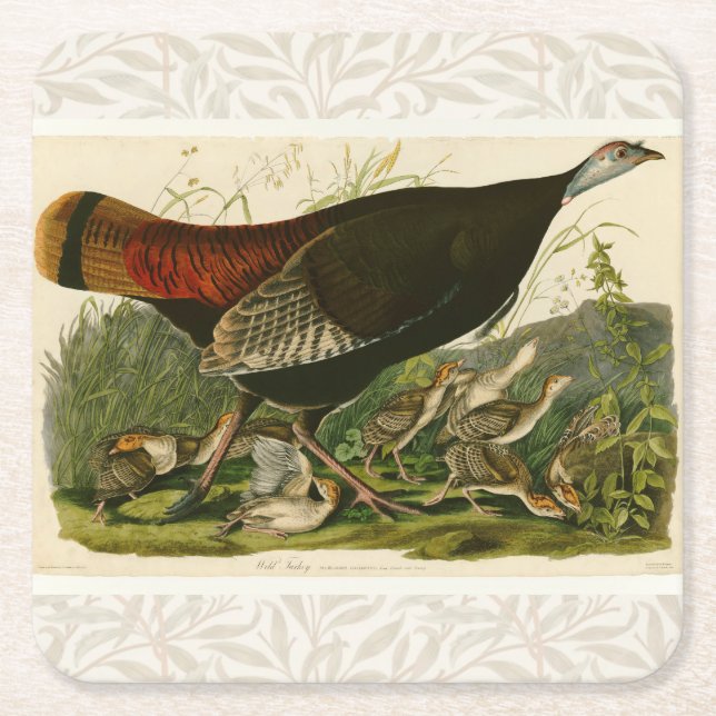Türkei Wild Audubon Bird Painting Rechteckiger Pappuntersetzer (Vorderseite)