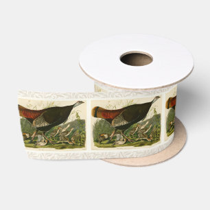 Türkei Wild Audubon Bird Painting Satinband