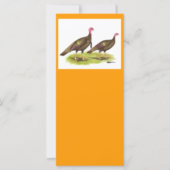 Türkei: Wilde Bronze (Vorderseite)