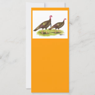 Türkei: Wilde Bronze