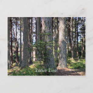 Türkei Zeit! Postkarte