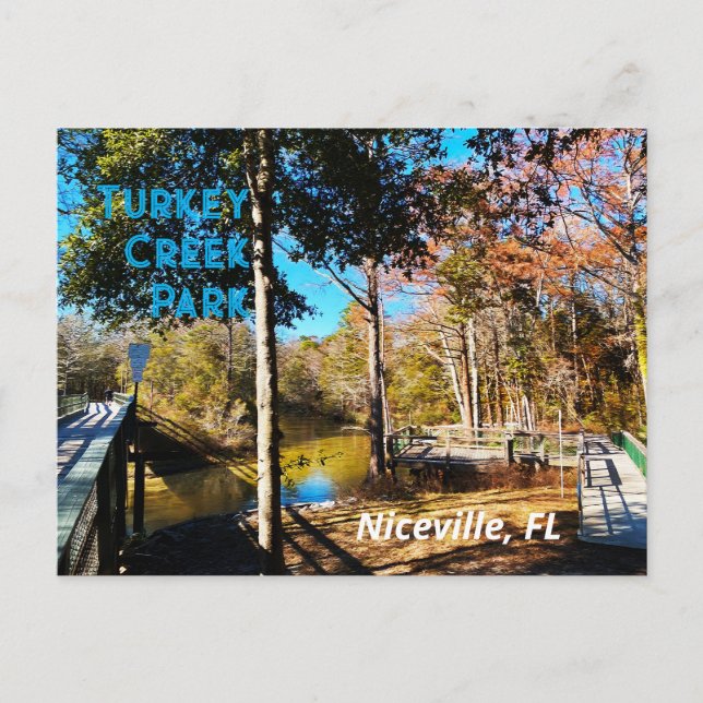 Turkey Creek Niceville Florida Postkarte (Vorderseite)