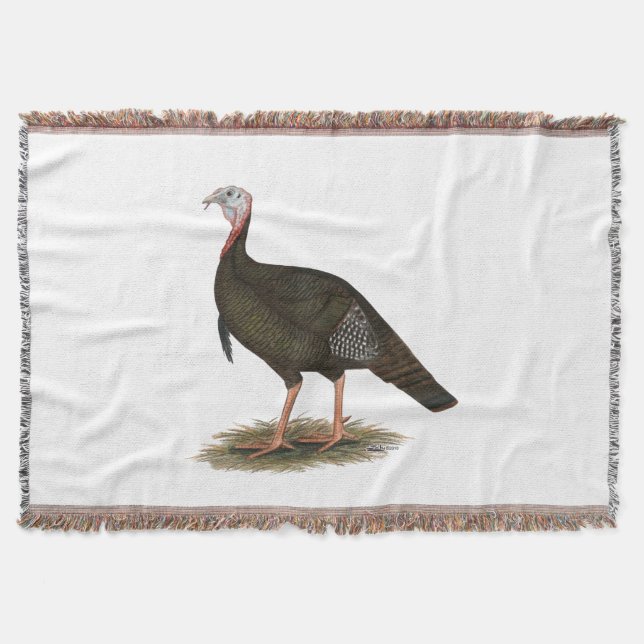 Turkey: Eastern Wild Tom Decke (Vorderseite)