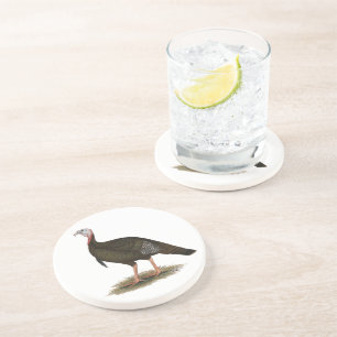 Turkey: Eastern Wild Tom Getränkeuntersetzer