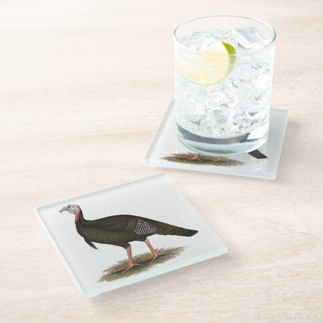 Turkey: Eastern Wild Tom Glasuntersetzer (Schrägansicht)