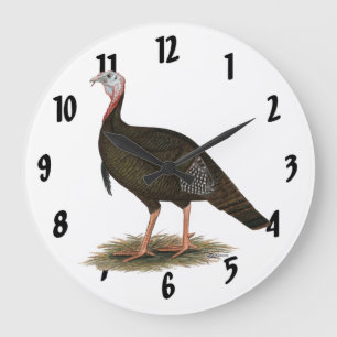 Turkey: Eastern Wild Tom Große Wanduhr