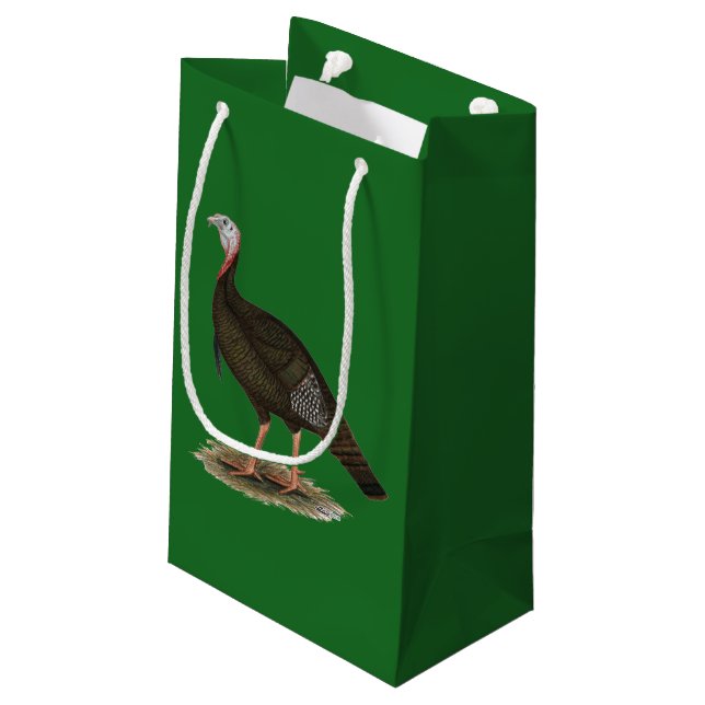 Turkey: Eastern Wild Tom Kleine Geschenktüte (Rückseite Schrägansicht)
