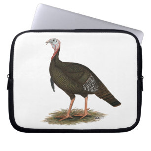 Turkey: Eastern Wild Tom Laptopschutzhülle