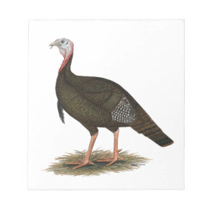 Turkey: Eastern Wild Tom Notizblock
