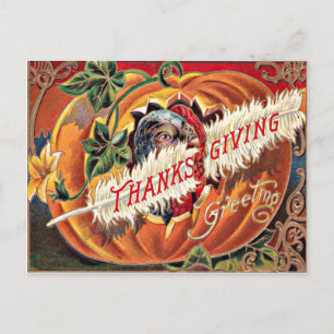 Turkey Feather Pumpkin Blume Postkarte
