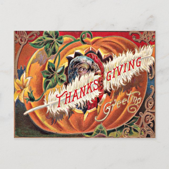 Turkey Feather Pumpkin Blume Postkarte (Vorderseite)