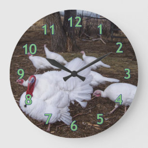 Turkey Flock Große Wanduhr